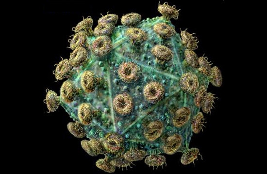 hiv_virus%E2%80%8C%E2%80%8C_russell-kightley.jpg